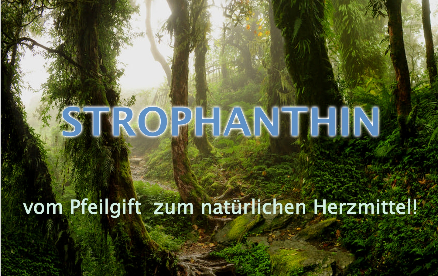 Strofantyna
